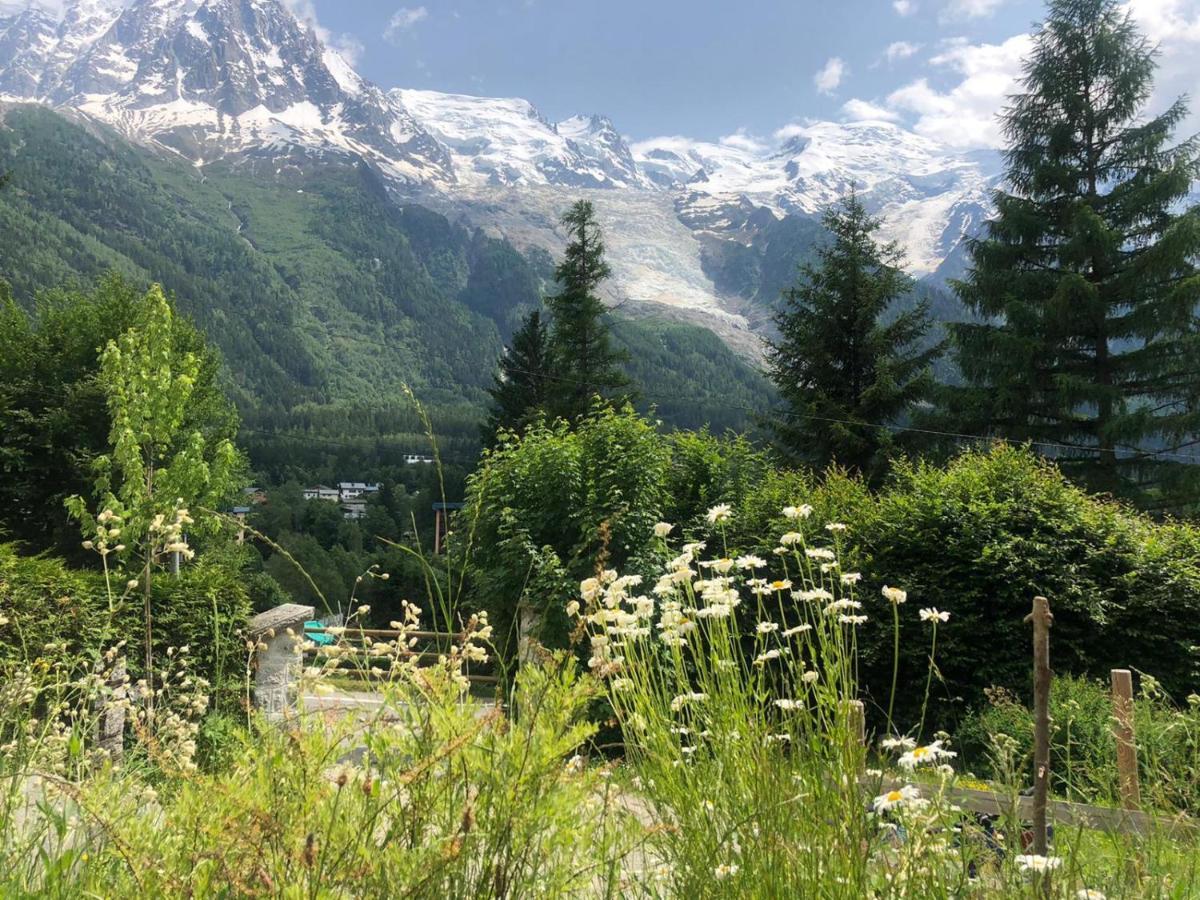 "Chalet Bobo" Cosy & Magnifique Vue Chx Sud Chamonix Exteriér fotografie